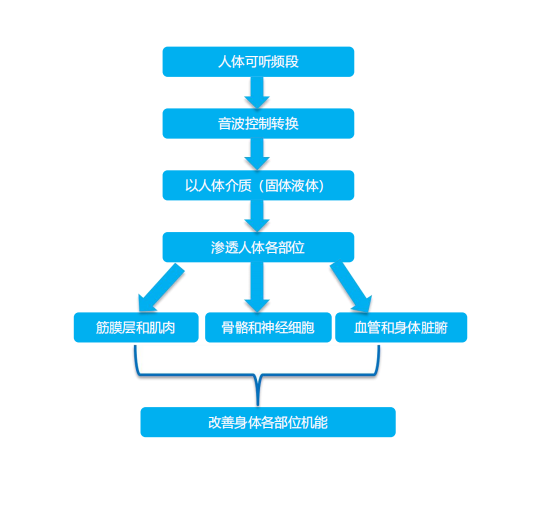 企业微信截图_17766512452714.png